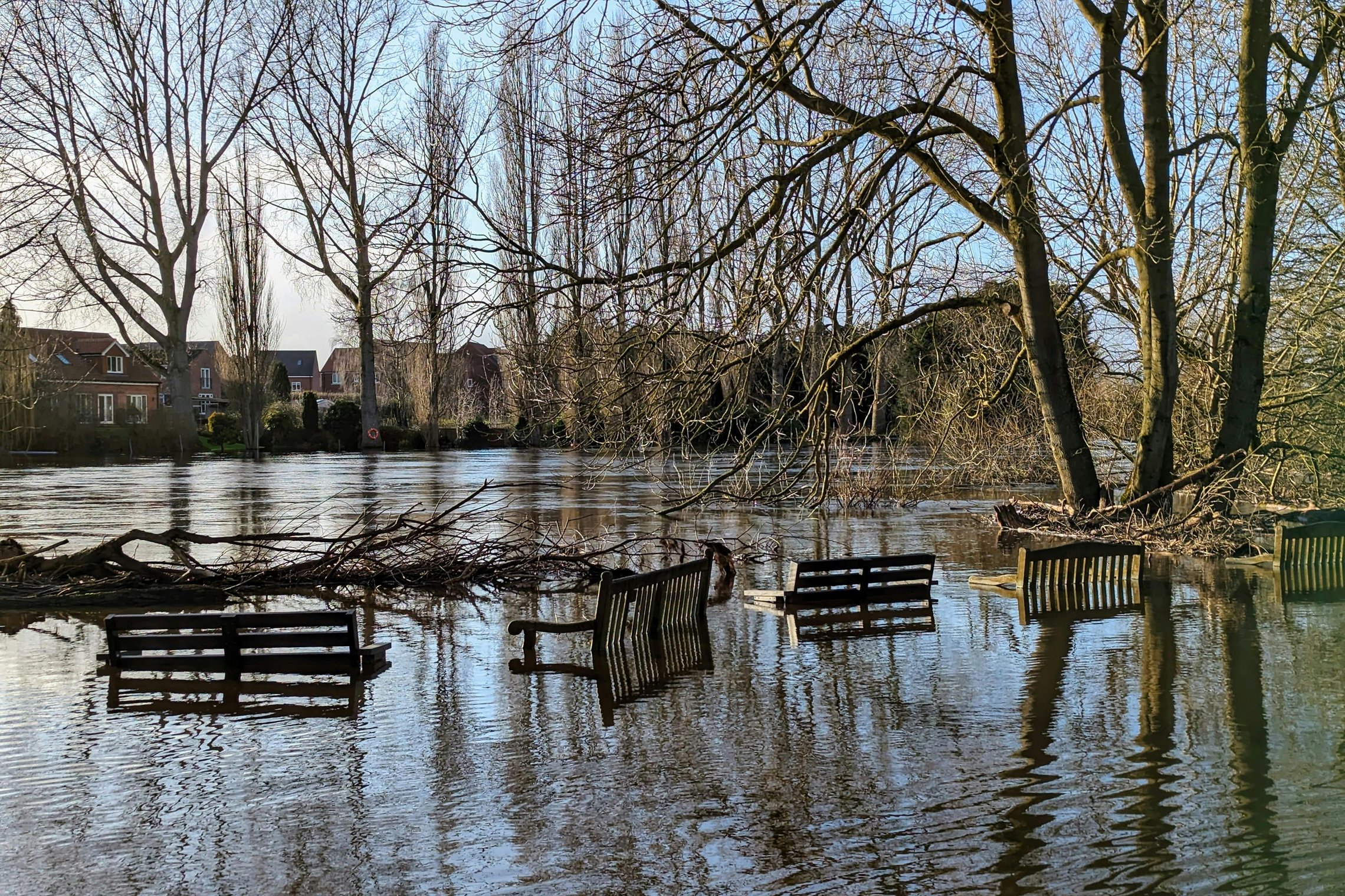 Potvynio apsemta pieva
