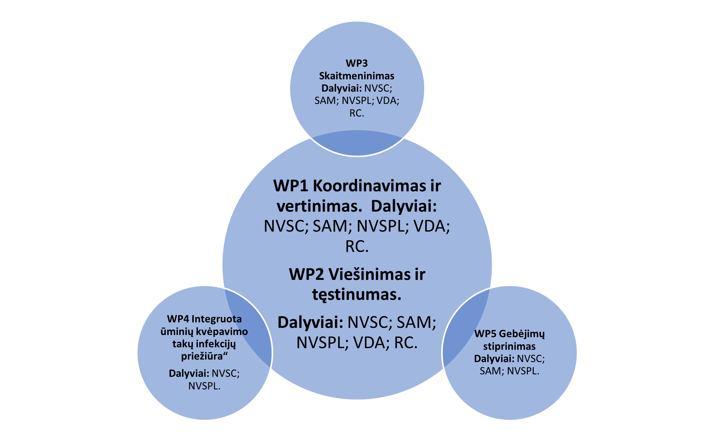 projekto.Picture1.png